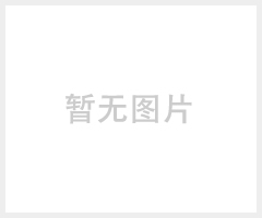 优普UPT-II-5/10/20T超纯水机